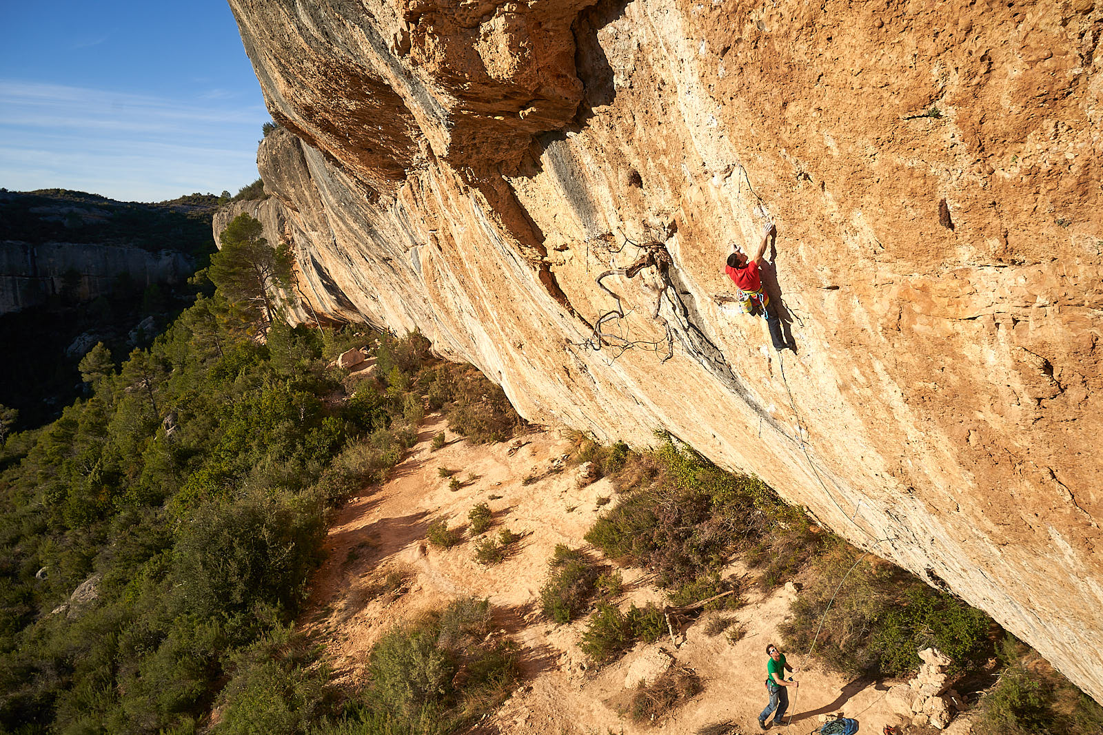 margalef